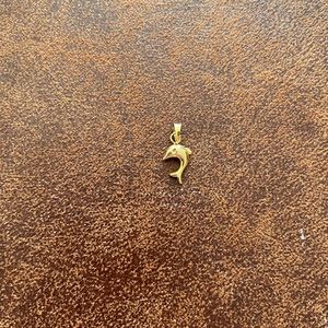 14k gold pendant/charm